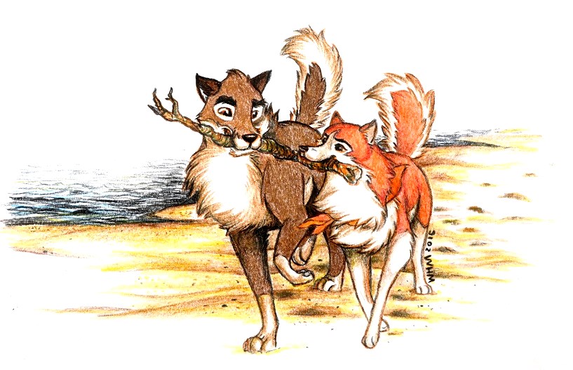 Happy Together