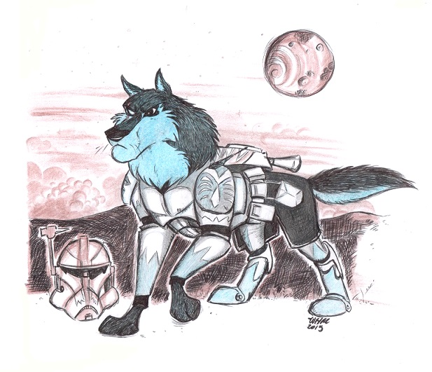 Commander Wolffe / Niju