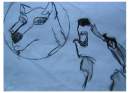 Aniu and Balto.