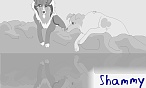 Shammy