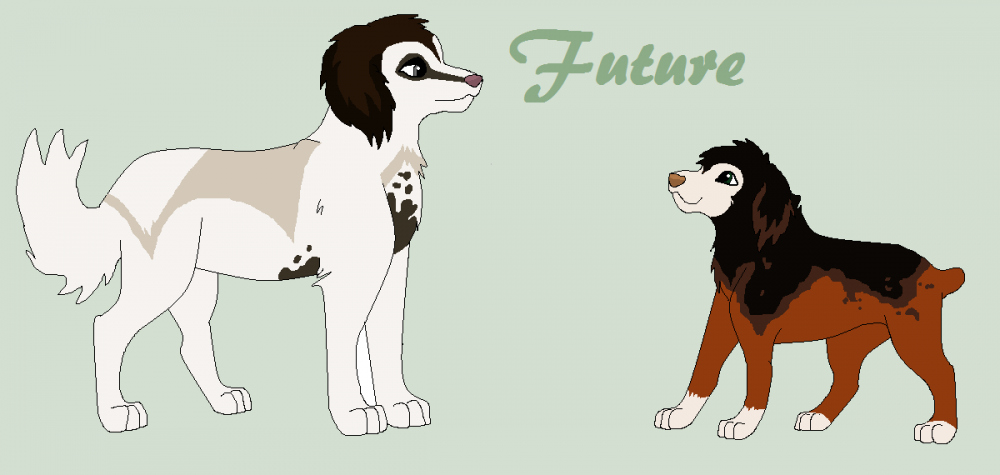 Future