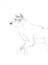 balto
