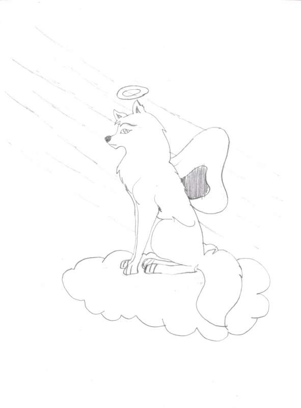 aniu the angel wolf