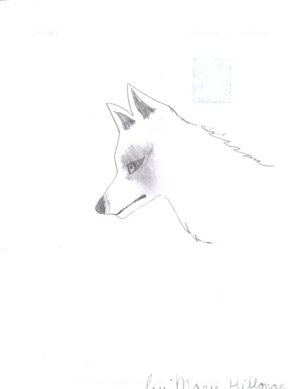 aniu
