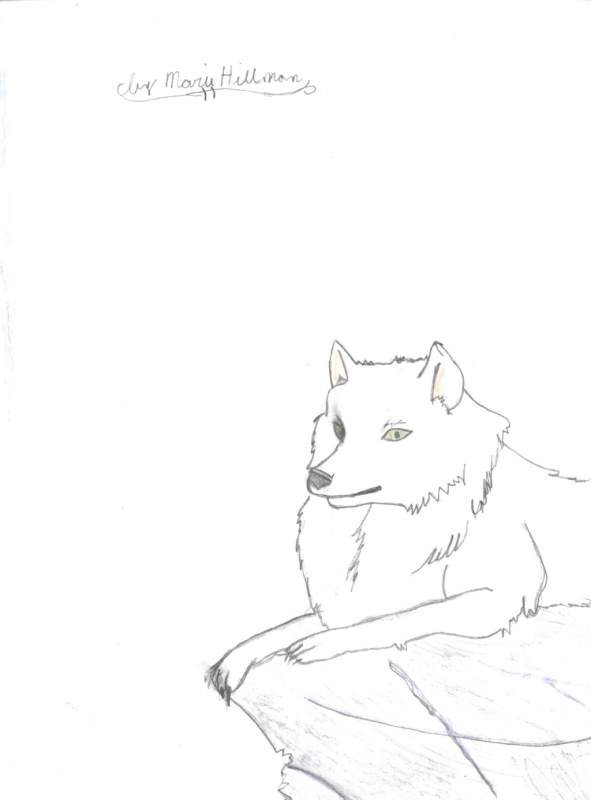 aniu