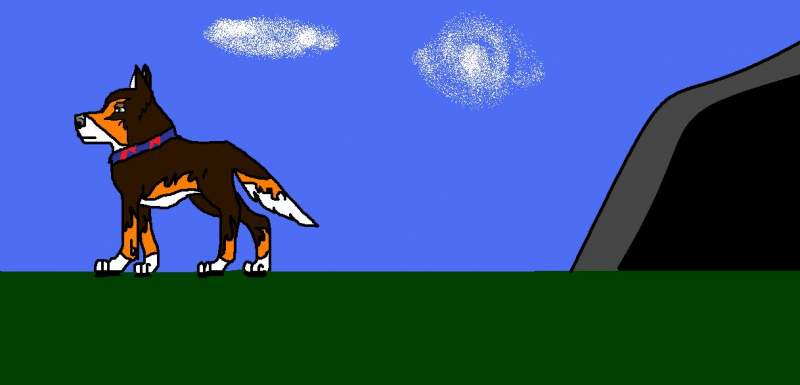 This is my fursona