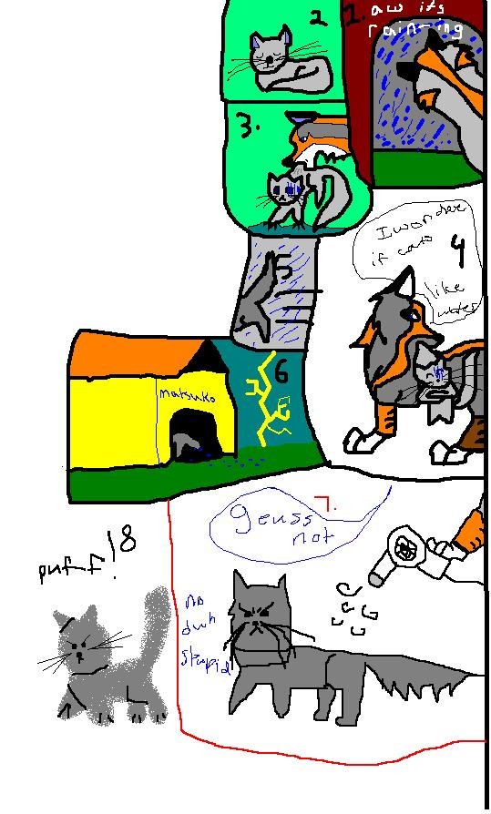 Cat vs rain comic