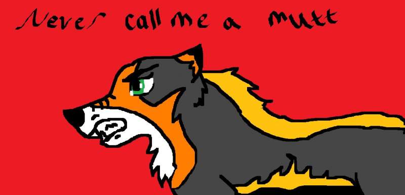 don't ever call me a mutt again!!!
