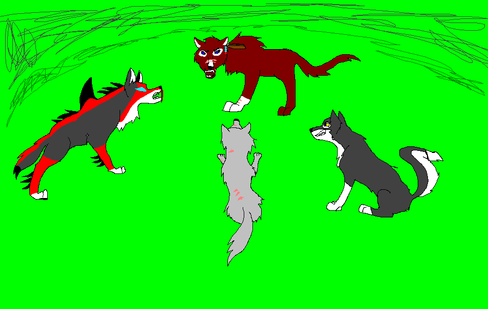A sneek peek of