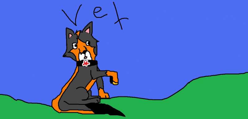 vet