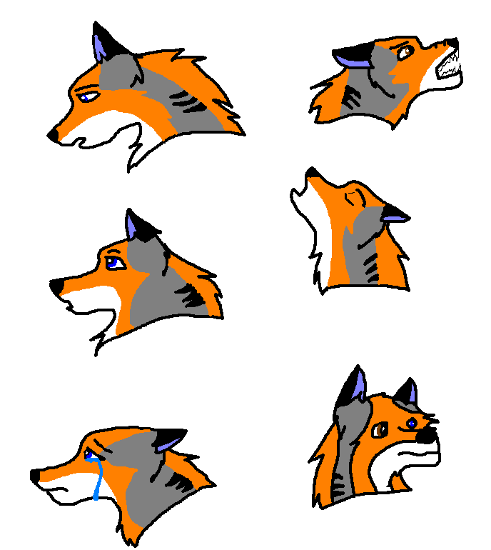 Many faces of matsuko