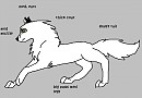 wolf ref