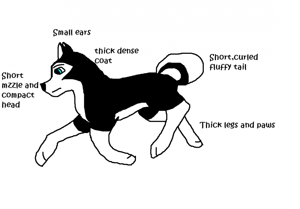 husky rerf
