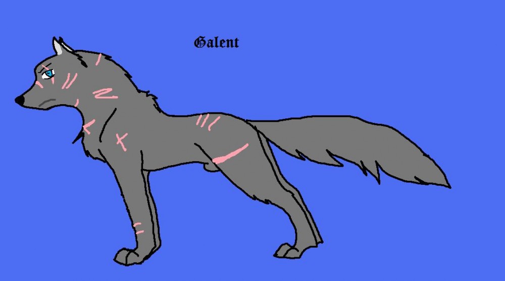 galent