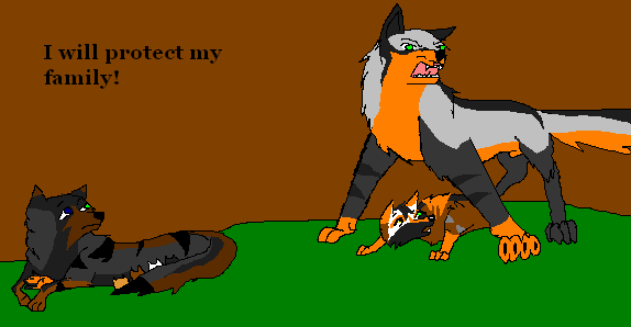 My territory my rules