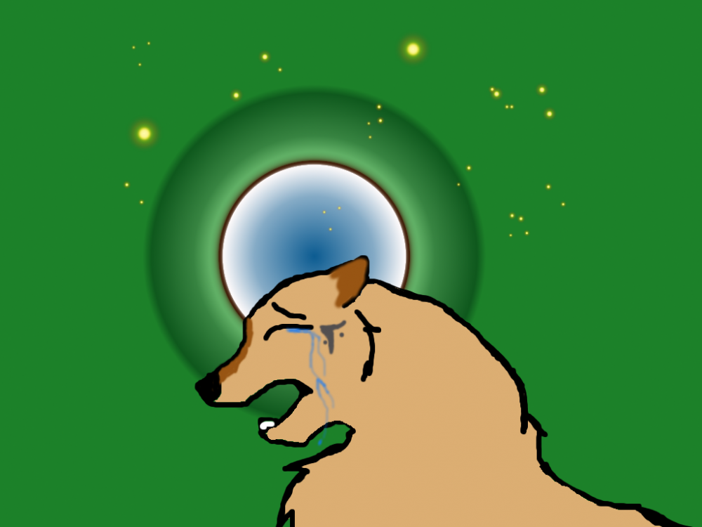 Taiya's tears