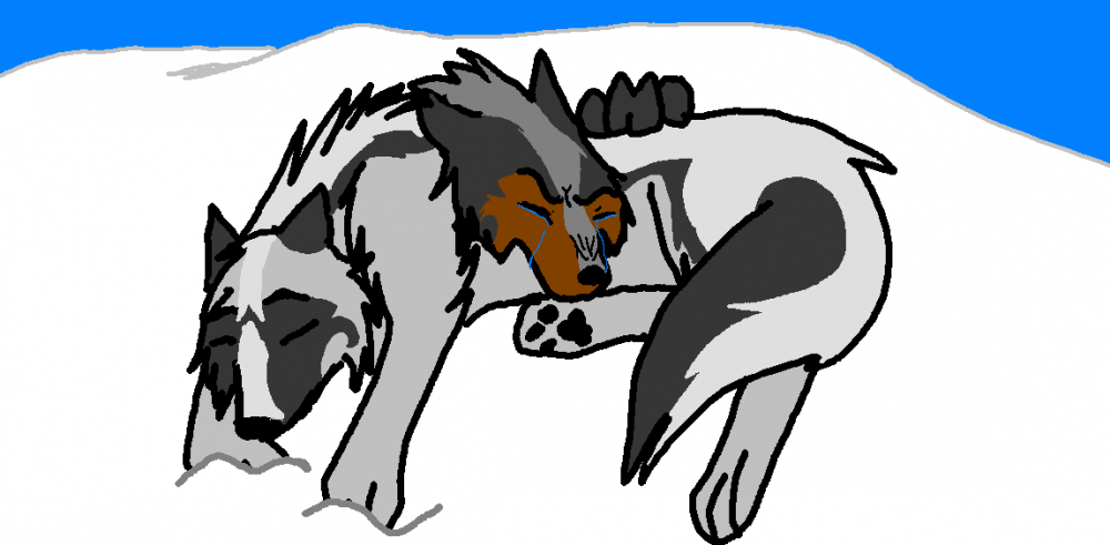 Animha's request resend