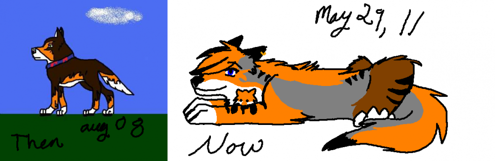 Matsuko then and now