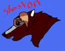 Shaston