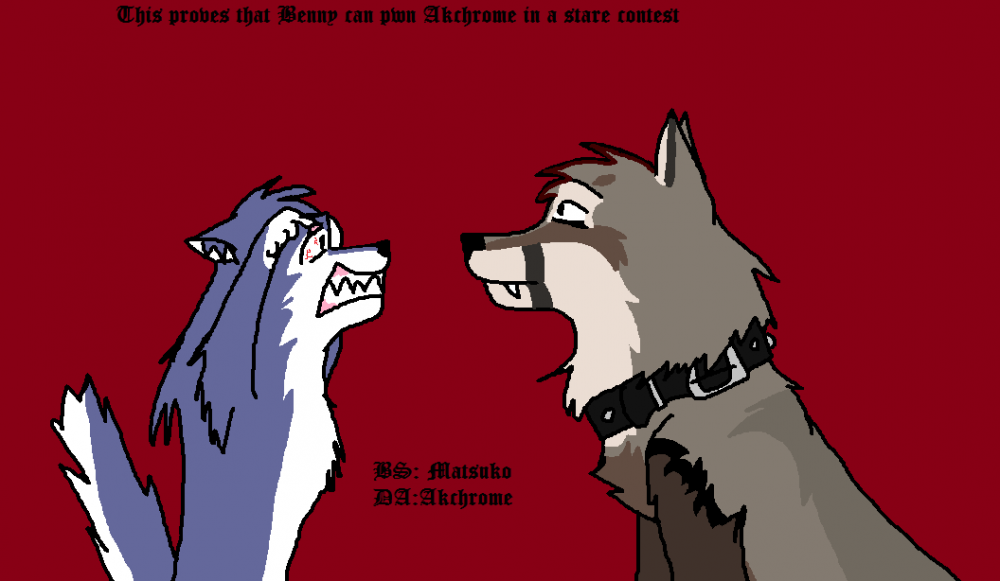 Staring contest Akchrome VS benny