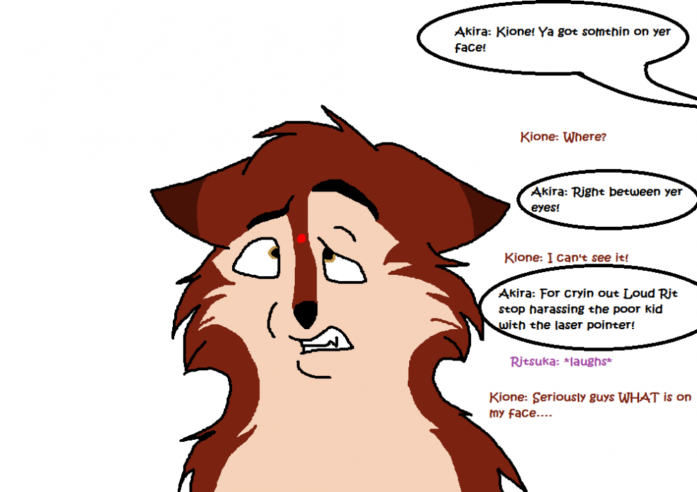 Teasing Kione with a laser pointer