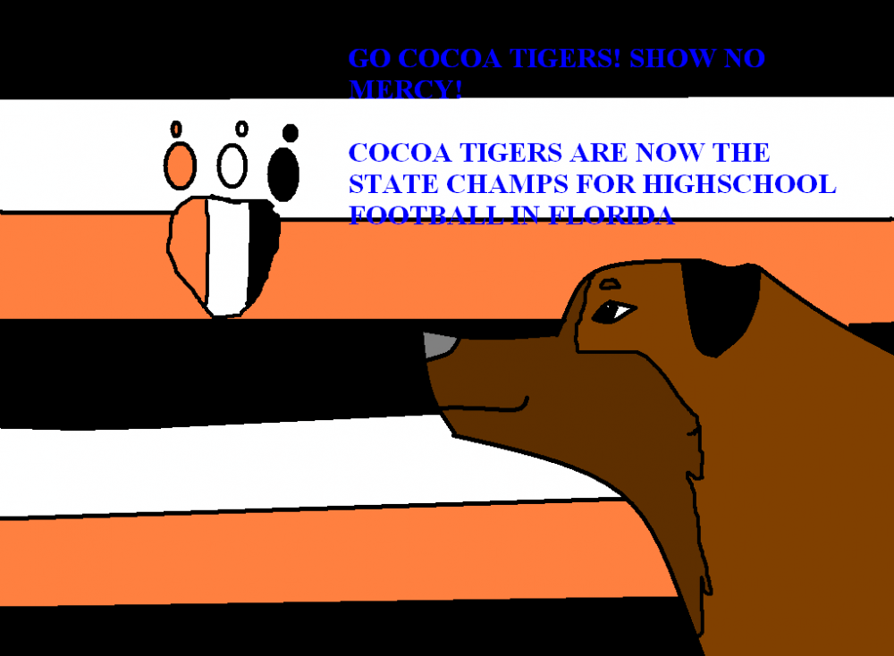 Go cocoa tigers