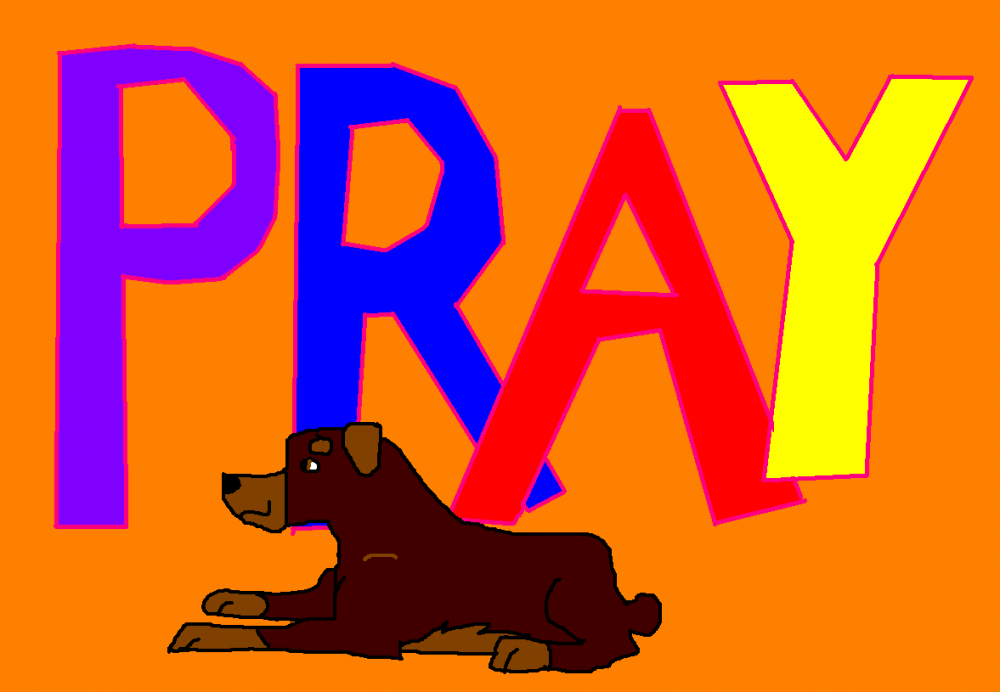Pray for bear