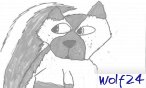wolf24