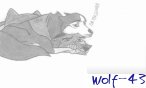 Wolf_43