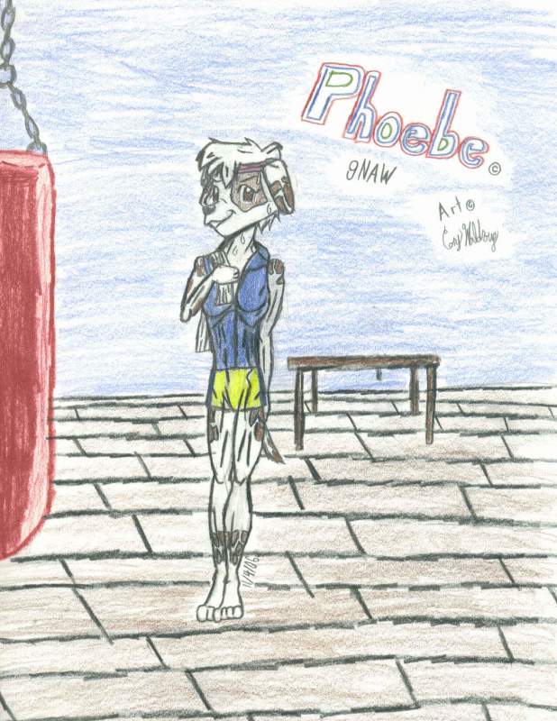 Phoebe