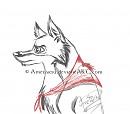 Balto portrait