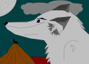 Wolf Wallpaper >_>