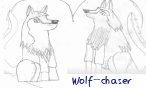 wolf_chaser