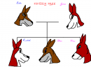 Balto's Family Tree