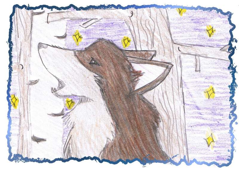 real wolf