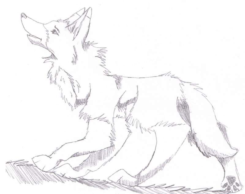 rika's position