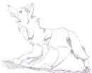 rika's position