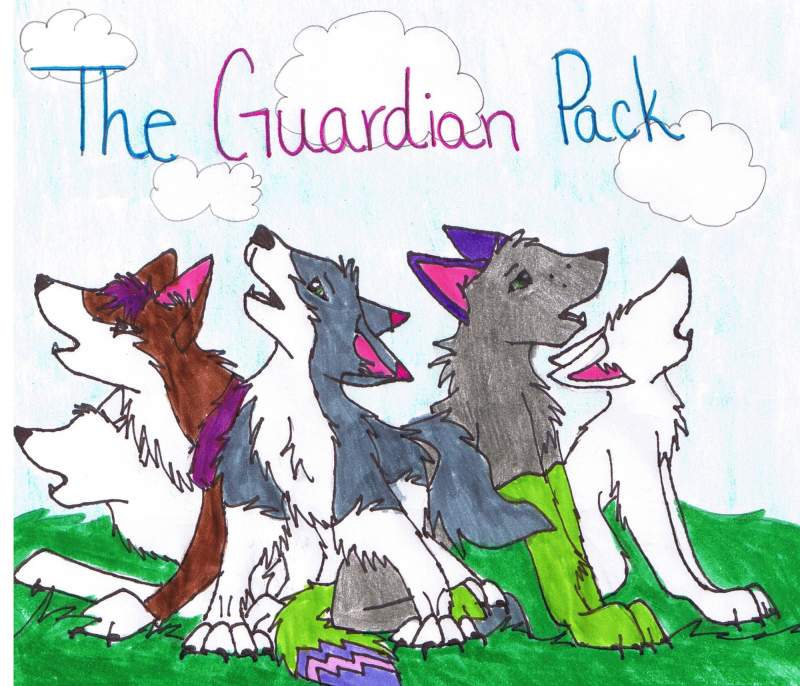 my pack