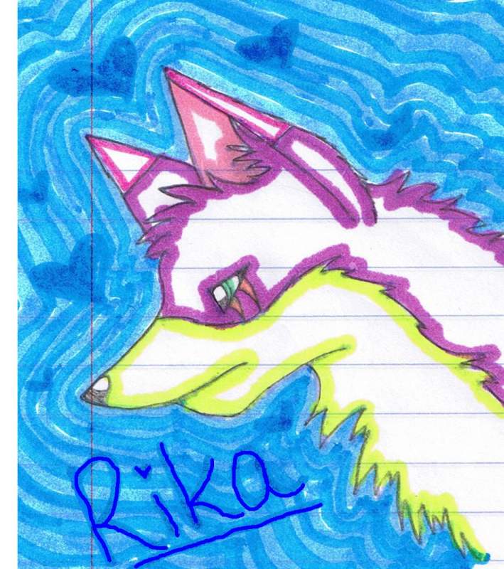 multicolor rika!!!!!!