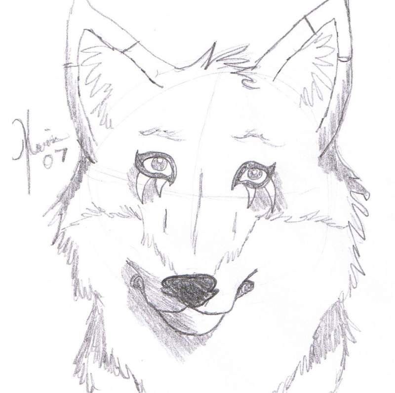 stare