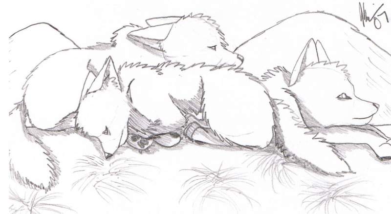 three sisters sleeping