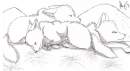 three sisters sleeping