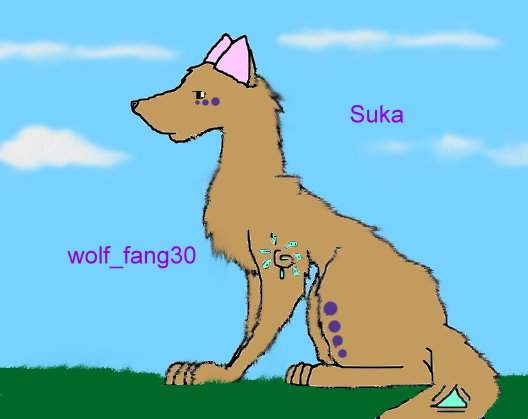 suka