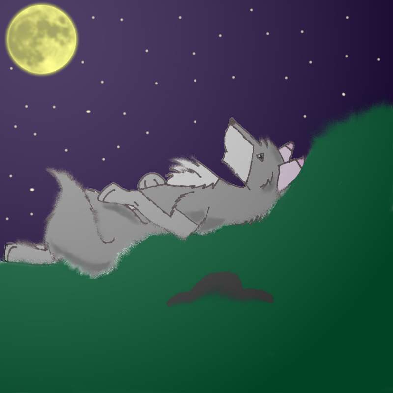 moonlight