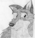 Balto