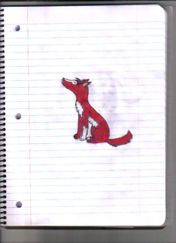 MY FIRST PICTURE!!!