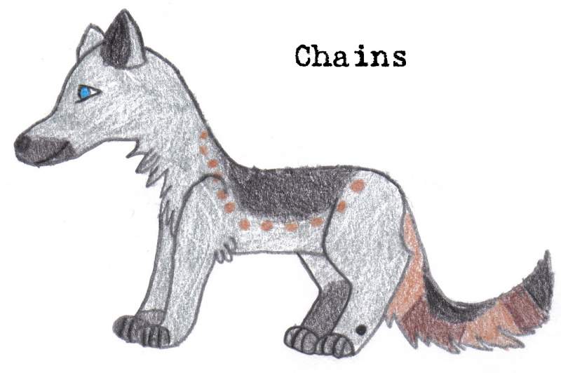 New charrie, Chains for .:wildfires:. doggy gang c