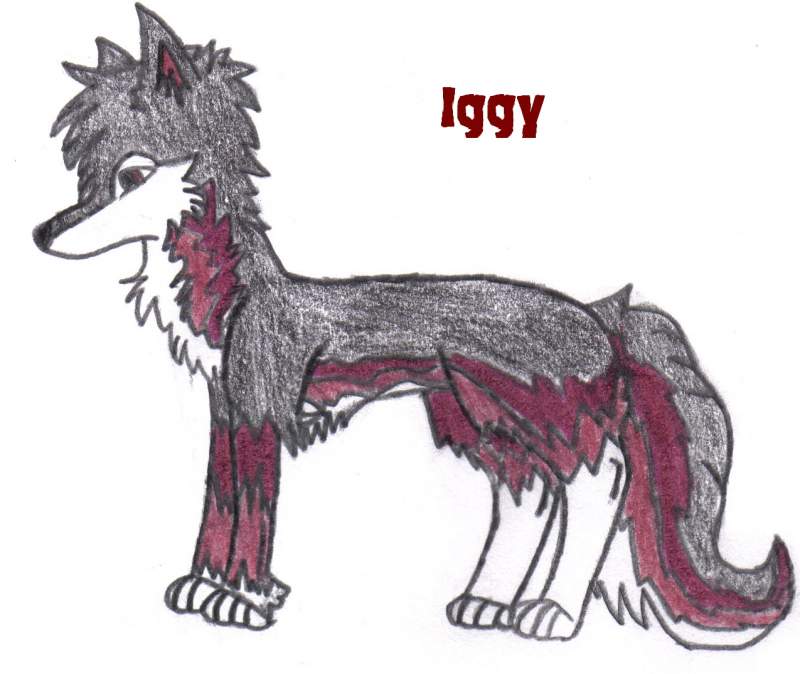 Iggy (another for .:wildfires:. contest)