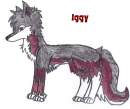 Iggy (another for .:wildfires:. contest)