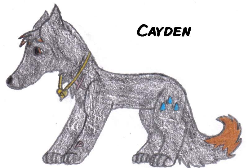 Cayden